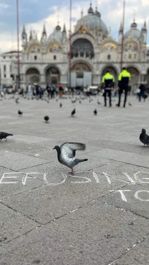 Venezia · 2026